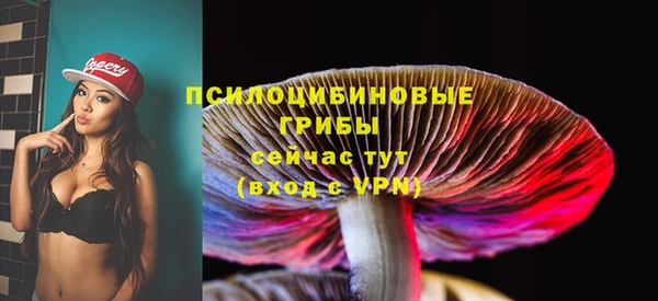 ПСИЛОЦИБИНОВЫЕ ГРИБЫ Козельск
