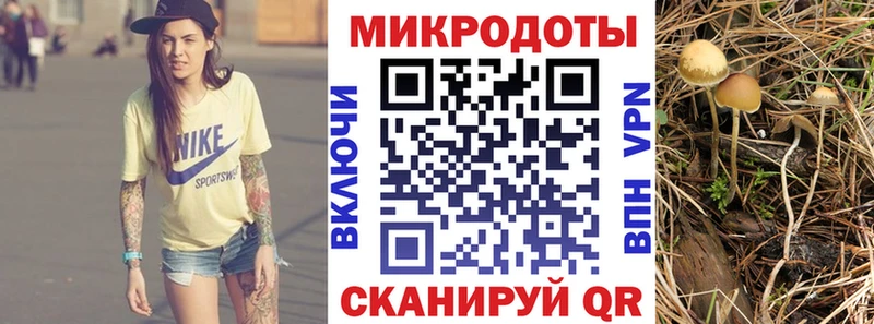 купить наркоту  Мостовской  Галлюциногенные грибы MAGIC MUSHROOMS 